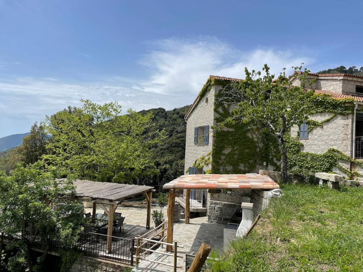 Sud-Corse Bavella Location Montagne Et Mer Sorbollano Екстер'єр фото