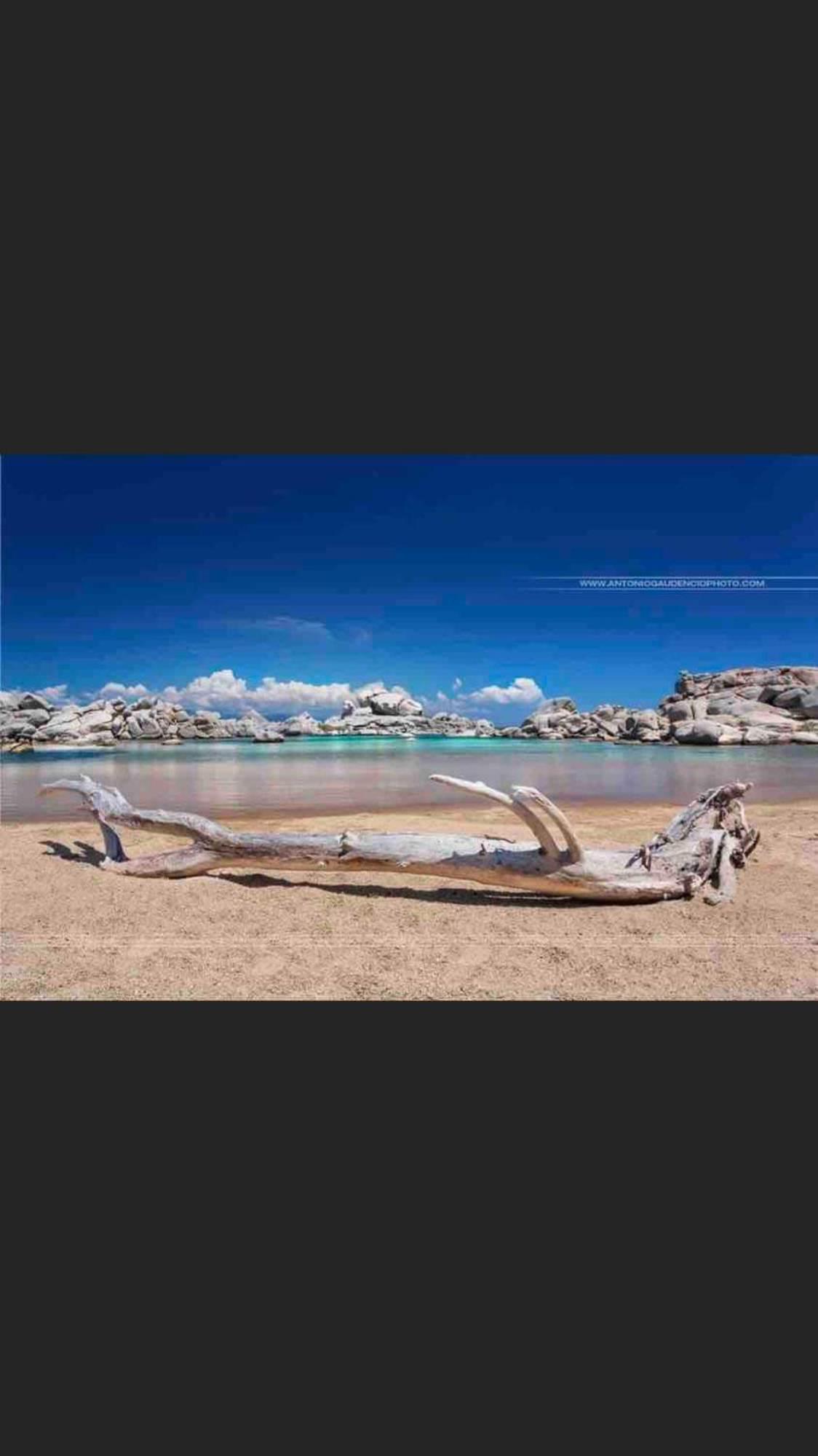 Sud-Corse Bavella Location Montagne Et Mer Sorbollano Екстер'єр фото